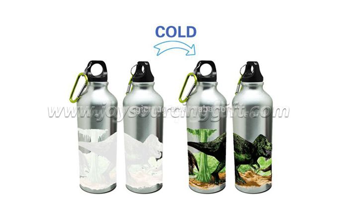 Cold Color Changing Aluminum Water Bottle
