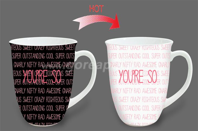 14OZ Youre  so  heat sensitive color changing ceramic magic mug